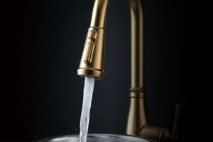 3 Function + Boost Kitchen Sprayer-1