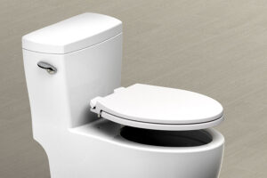 ReadySet™ Toilet Seat -1